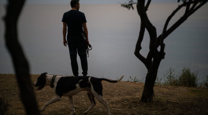 “MAN AND DOG” BY STEFAN COSTANTINESCU