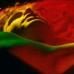 Anything-that-moves-1