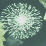 Mind_Game_2004MasaakiYuasa