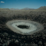 La Anatomia del los Caballos