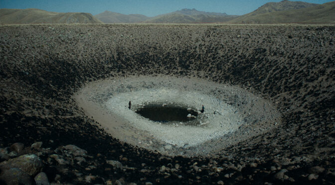 “LA ANATOMÍA DE LOS CABALLOS” BY DANIEL VIDAL TOCHE (ENG)