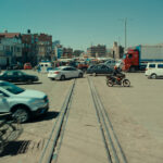 OFF_La anatomia del los caballos_06