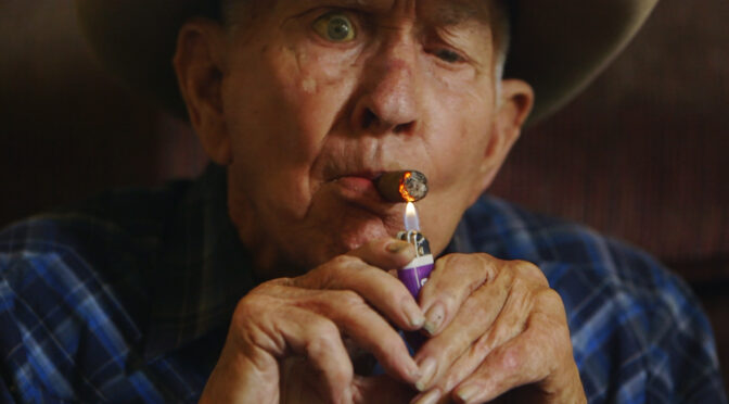 “LAND WITH NO RIDER” BY TAMAR LANDO (ENG)