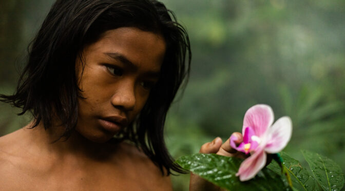 “THE GARDEN OF EARTHLY DELIGHTS” BY MORGAN KNIBBE (ENG)